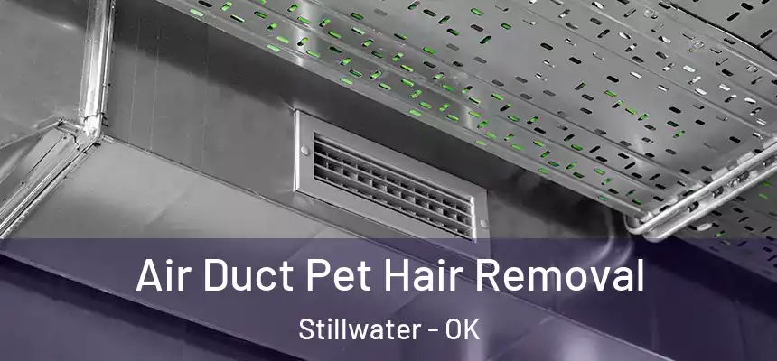Air Duct Pet Hair Removal Stillwater - OK
