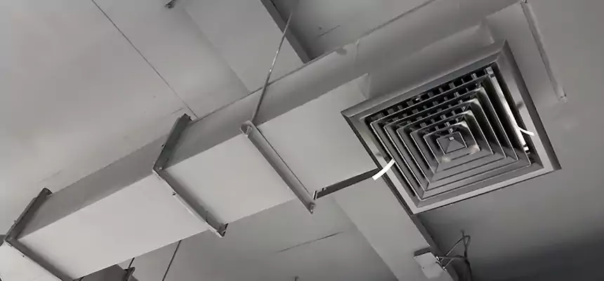 Our Rodent Droppings In Vents Services in Stillwater, OK