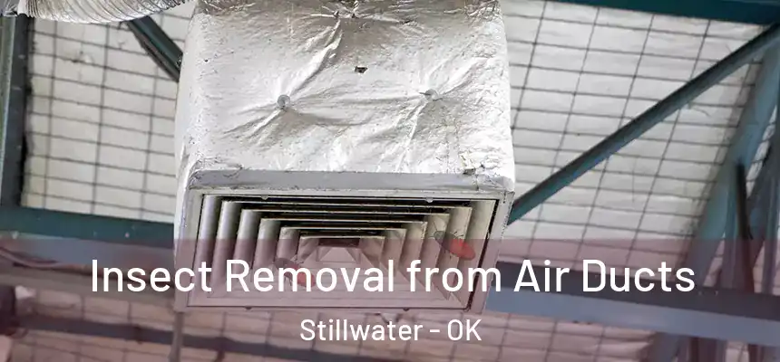 Insect Removal from Air Ducts Stillwater - OK