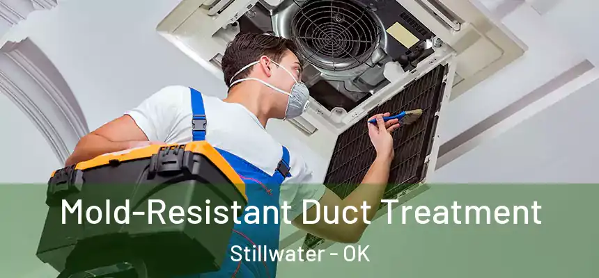  Mold-Resistant Duct Treatment Stillwater - OK