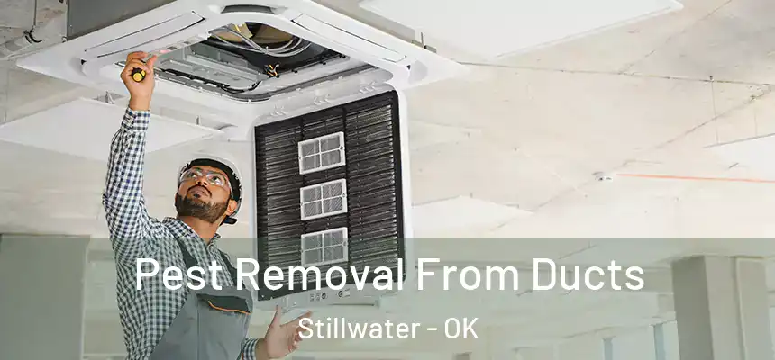  Pest Removal From Ducts Stillwater - OK