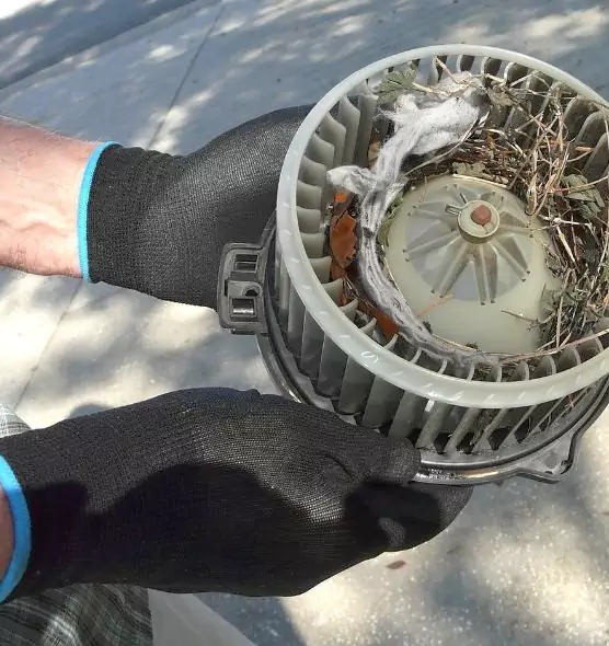 About Air Duct Mice Removal in Stillwater, OK