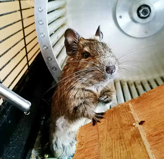 Why Homeowners & Businesses Trust Us Stillwater, OK